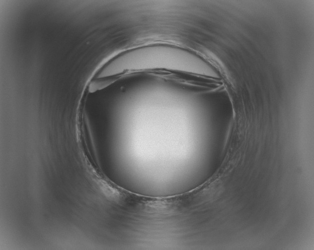 X0000070181182200606091459