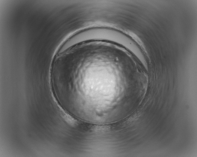 X0000070181183200606091459