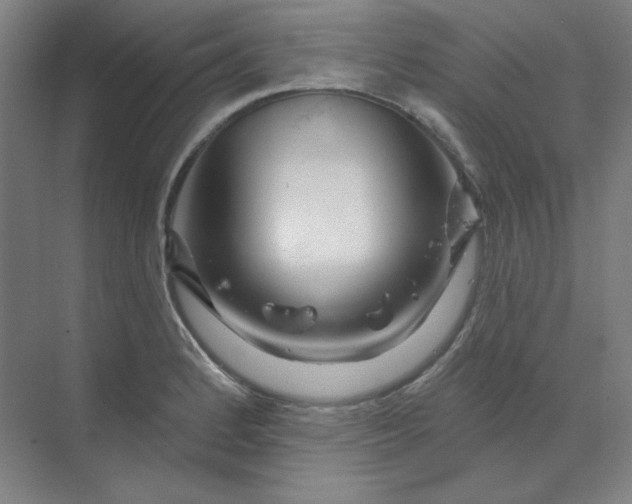 X0000070181184200606091459