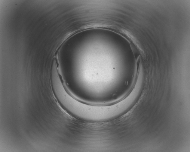 X0000070181185200606091459