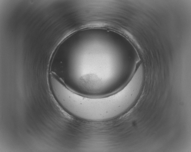 X0000070181186200606091459