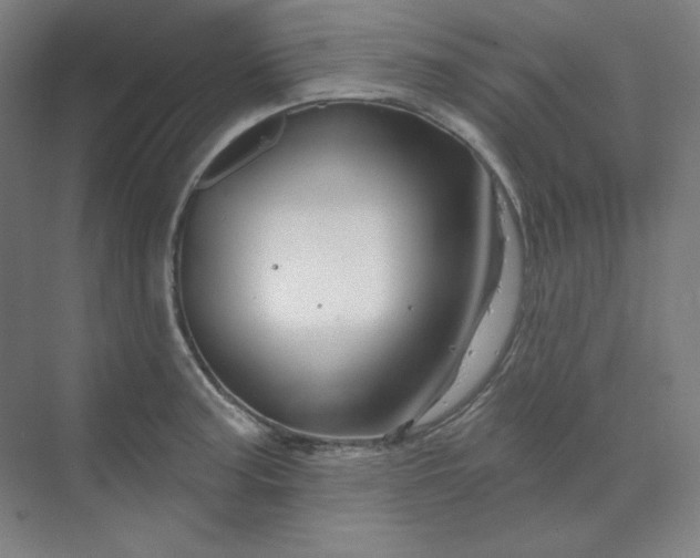 X0000070181187200606091459