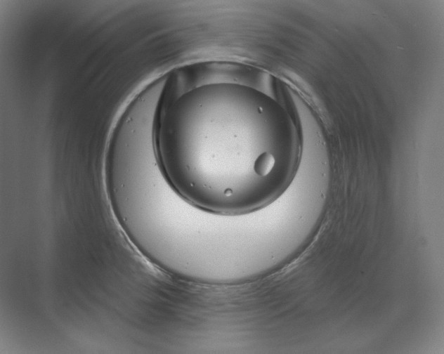 X0000070181188200606091458