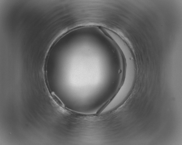 X0000070181189200606091458