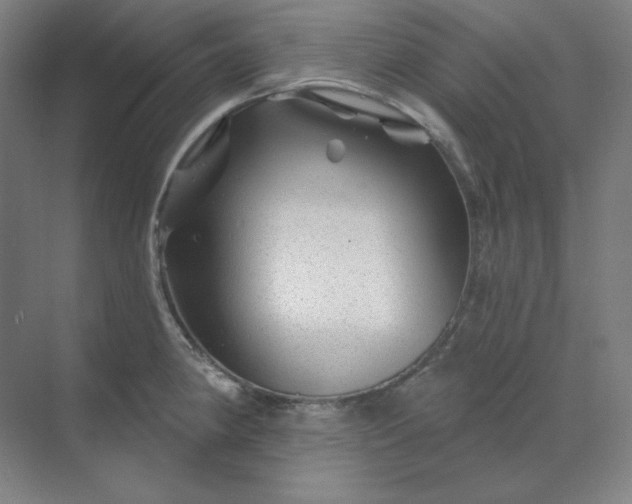 X0000070181190200606091458