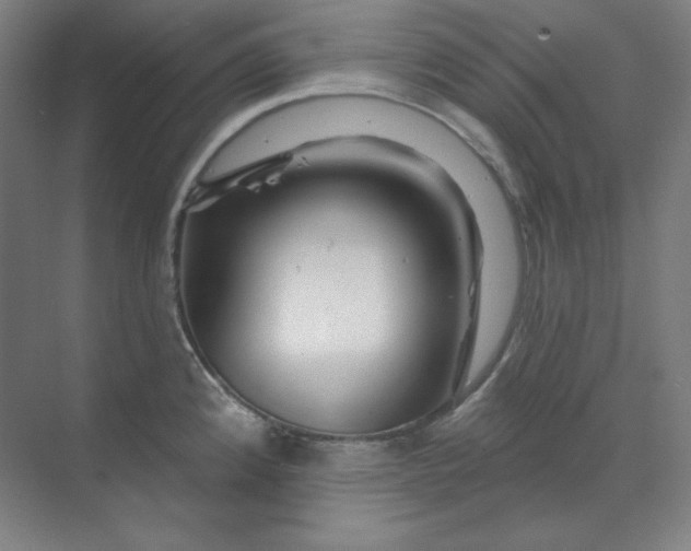 X0000070181192200606091458