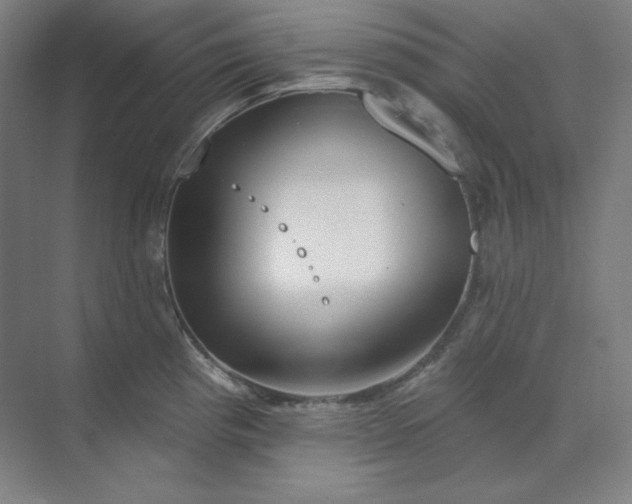 X0000070181193200606091458