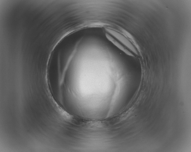 X0000070181194200606091458