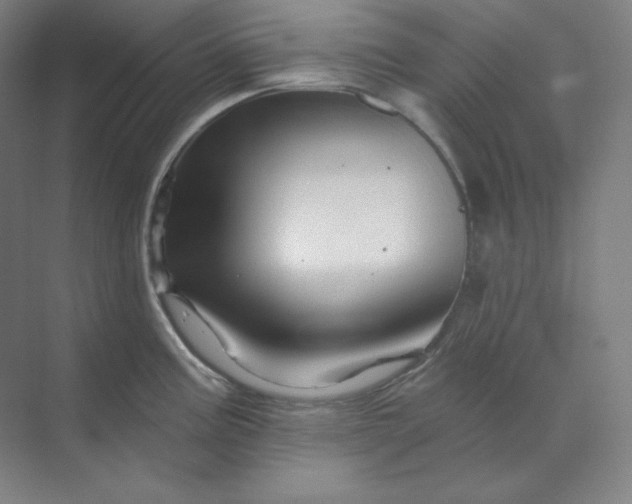 X0000070181195200606091458