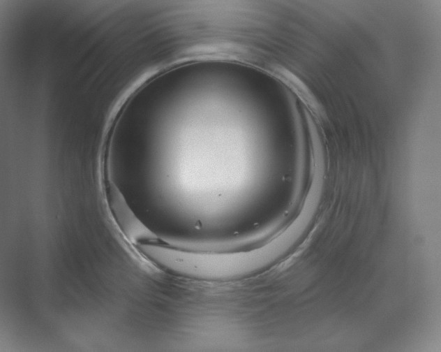 X0000070181196200606091458