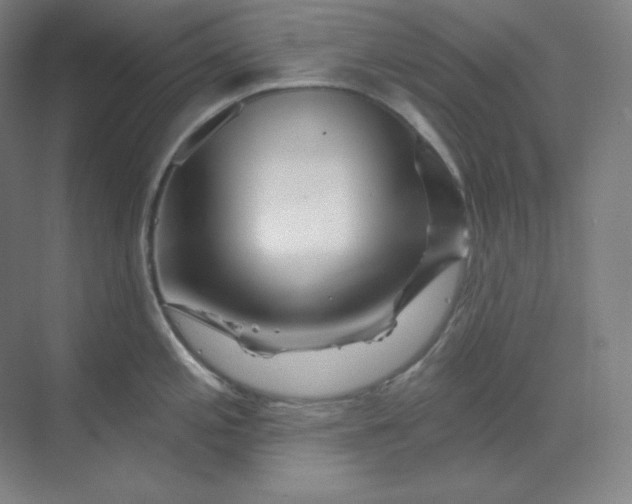 X0000070181197200606091458