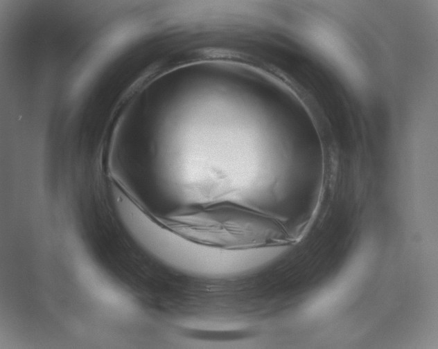 X0000070181198200606091458