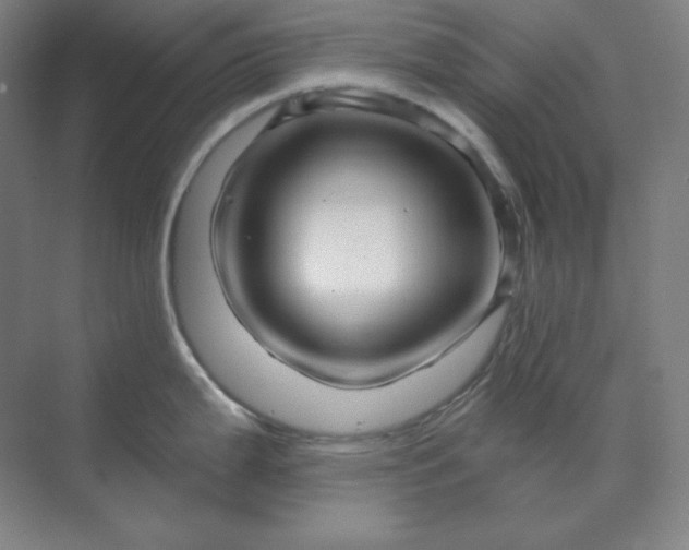 X0000070181199200606091458