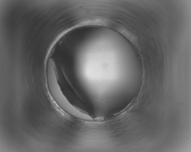 X0000070181200200606091458