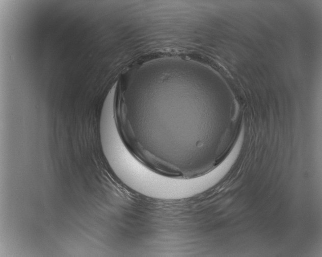 X0000070181202200606091457