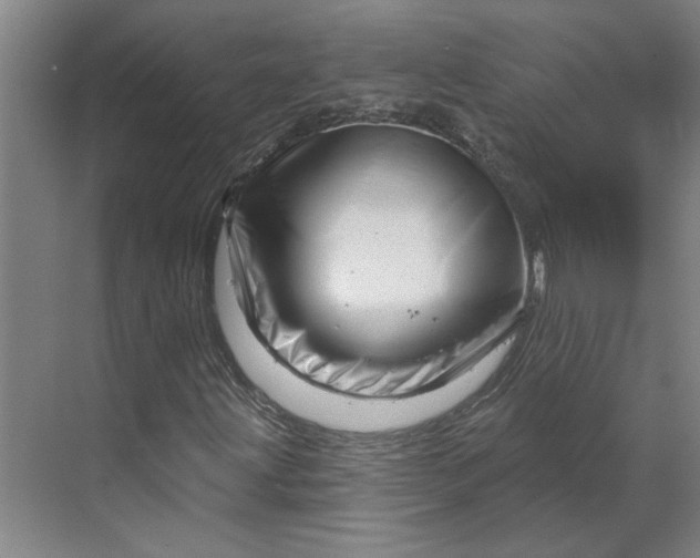 X0000070181203200606091458