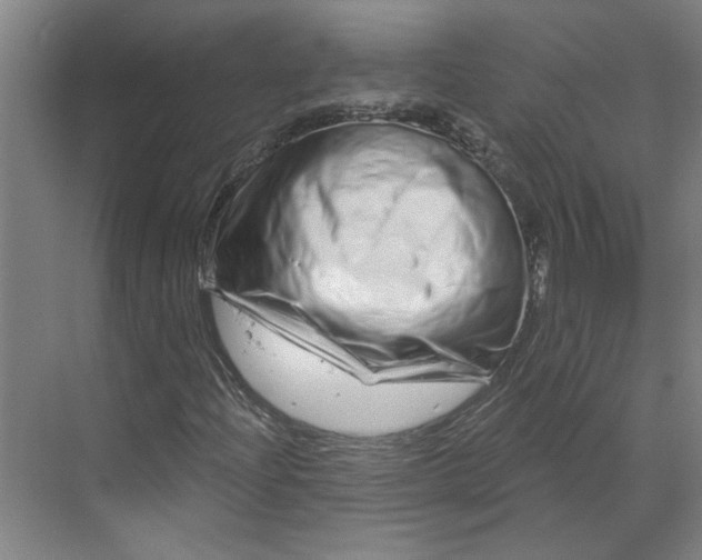 X0000070181204200606091458