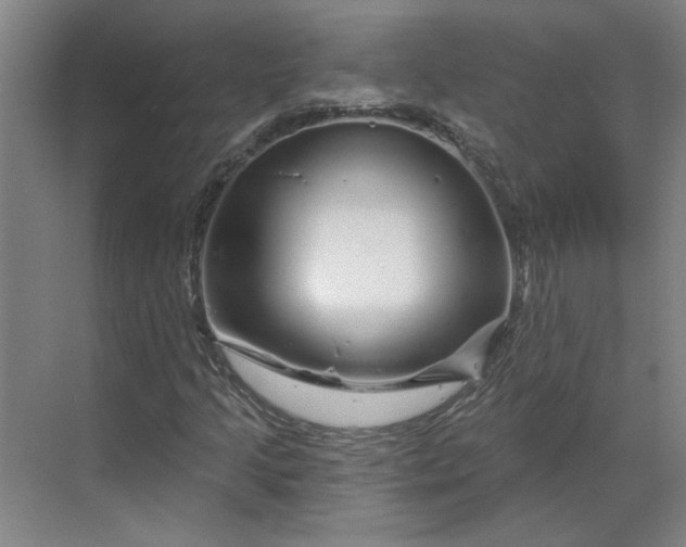 X0000070181205200606091458