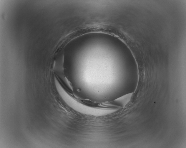 X0000070181206200606091458