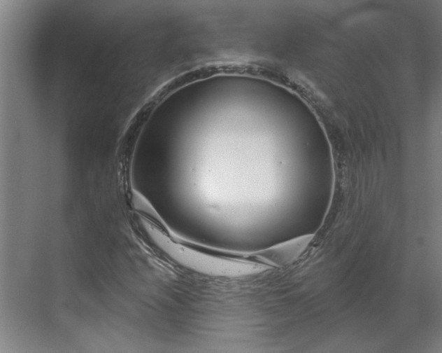 X0000070181208200606091458