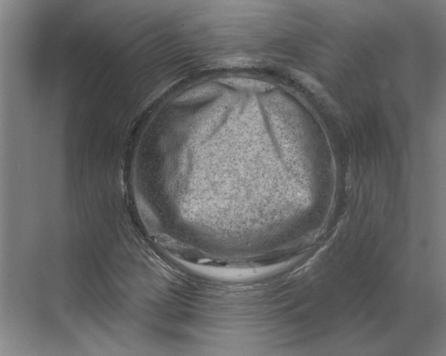 X0000070181209200606091458