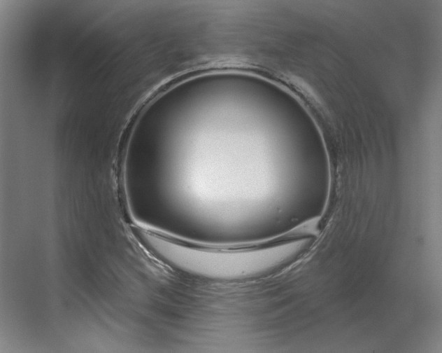 X0000070181212200606091458