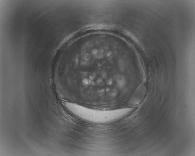 X0000070181213200606091458