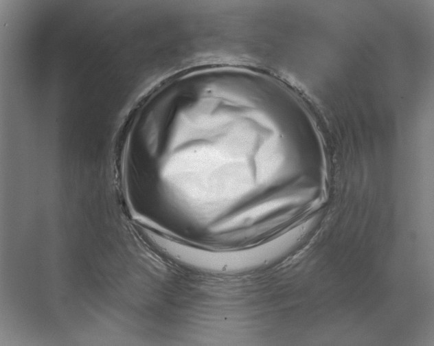 X0000070181215200606091458