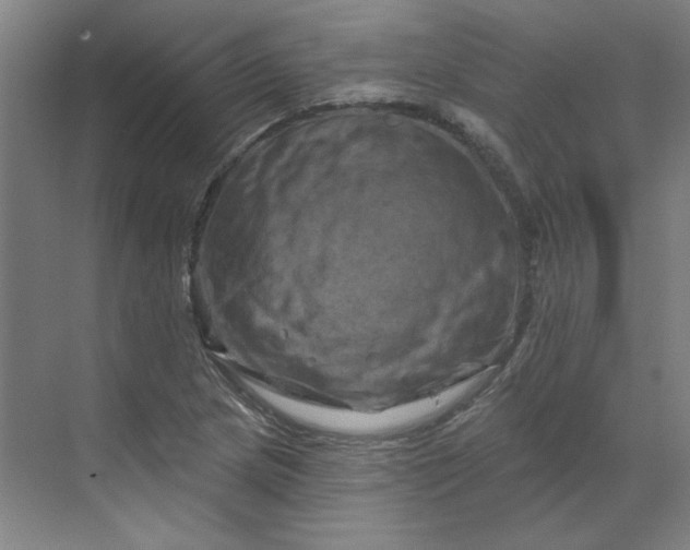 X0000070181217200606091458