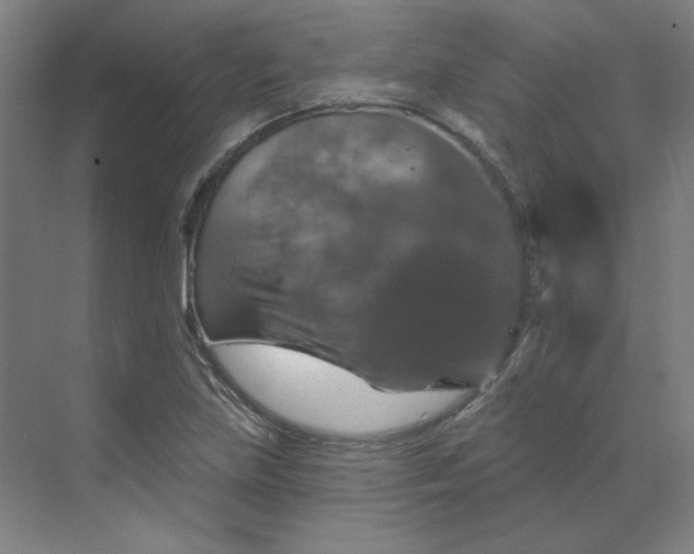 X0000070181219200606091458