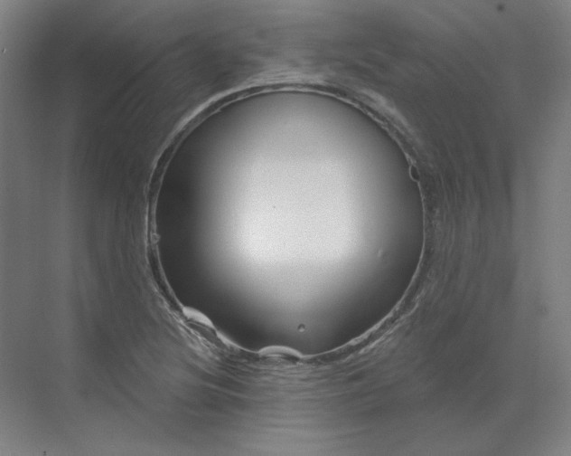 X0000070181220200606091458