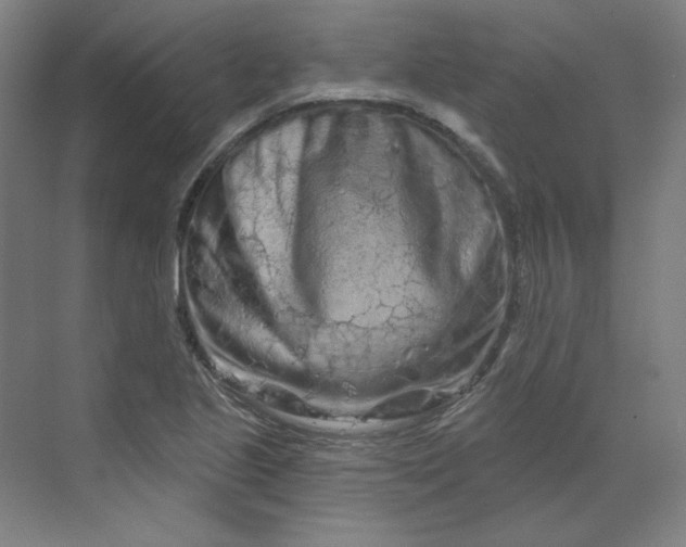 X0000070181221200606091458