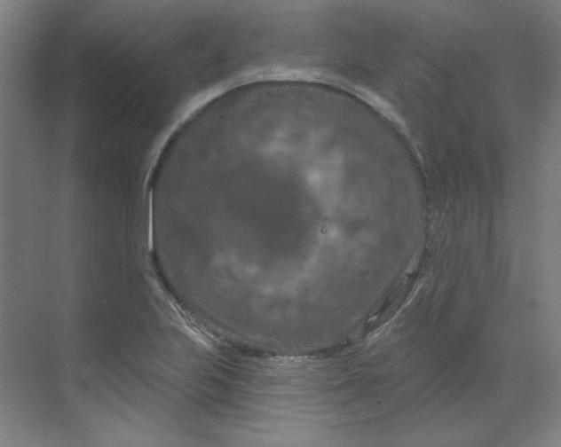 X0000070181223200606091458