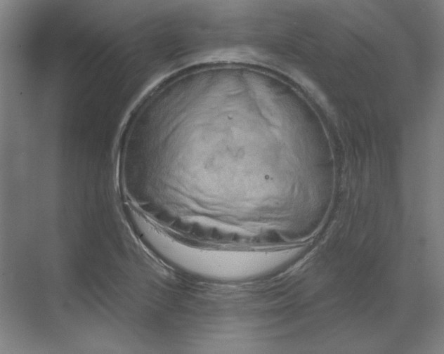 X0000070181224200606091458