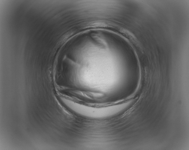 X0000070181225200606091458