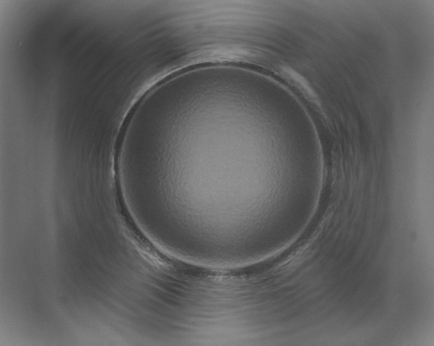 X0000070181226200606091458