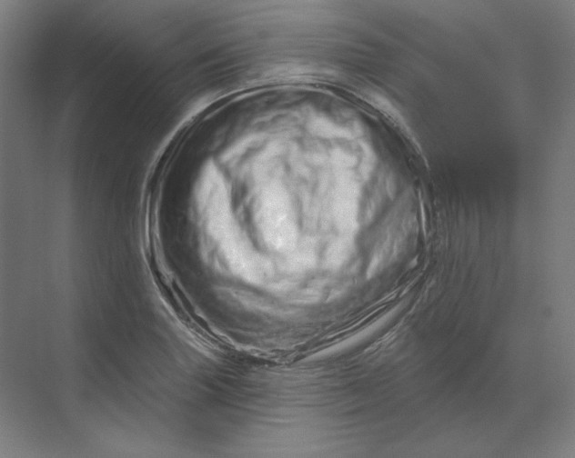 X0000070181227200606091458