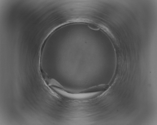 X0000070181228200606091458