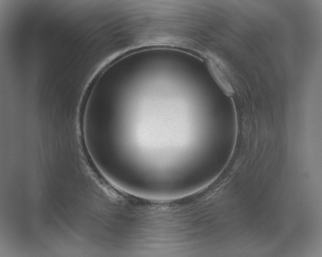 X0000070181230200606091458