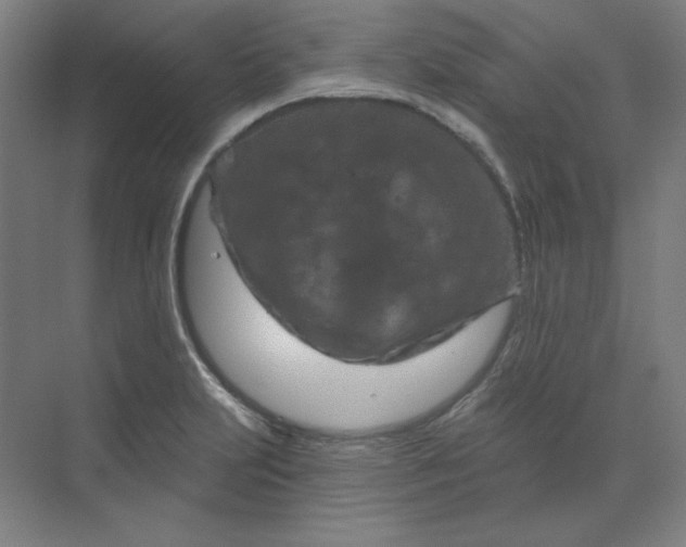 X0000070181231200606091458