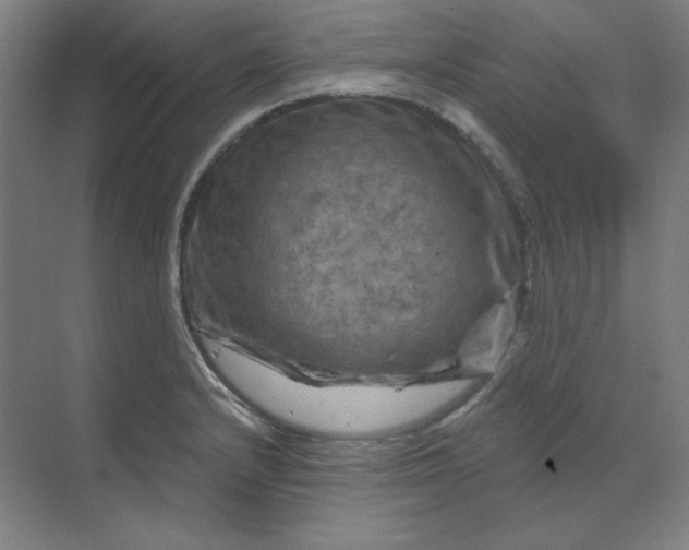 X0000070181232200606091458