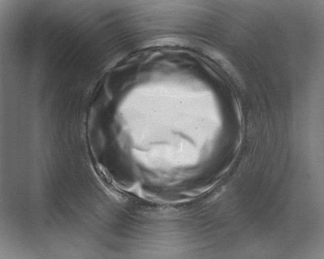 X0000070181233200606091458