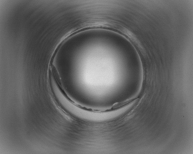 X0000070181234200606091458