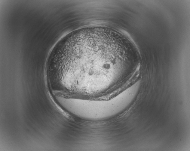 X0000070181235200606091458