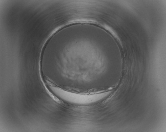 X0000070181237200606091458