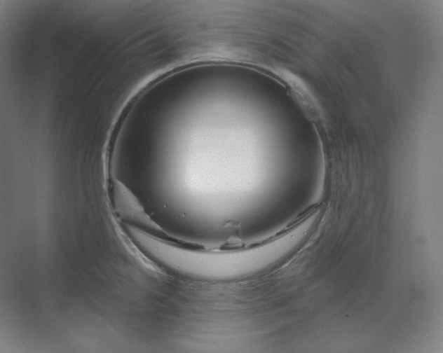 X0000070181238200606091458