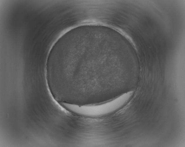 X0000070181239200606091458