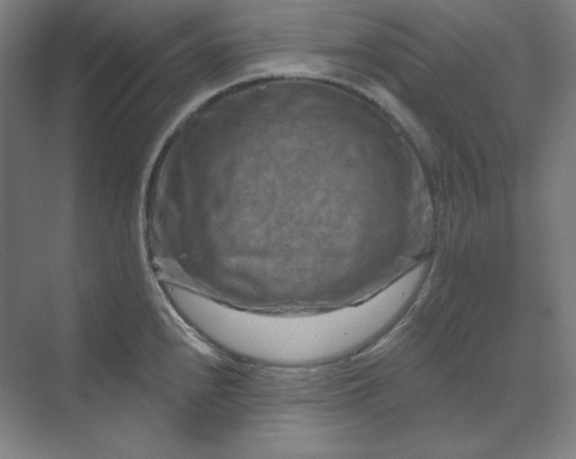 X0000070181240200606091458