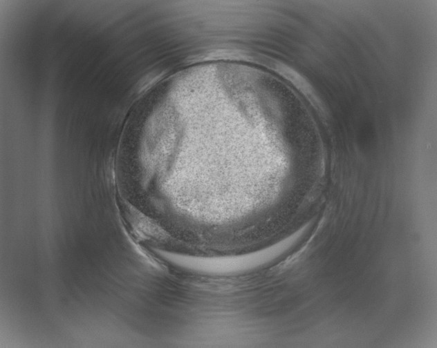 X0000070181241200606091458