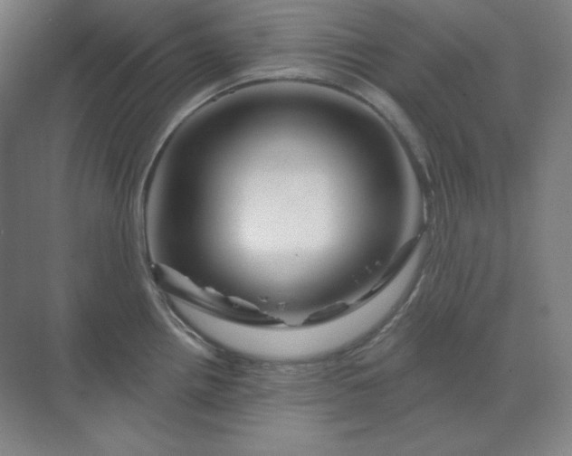 X0000070181242200606091458